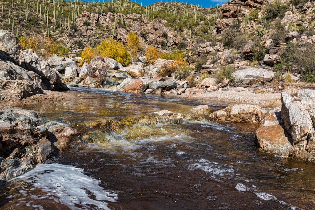 Saguaro National Park, Rincon Mountains, Arizona