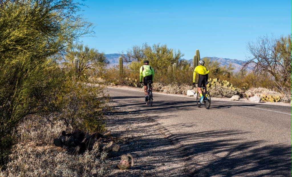 Rincon Mountains, Arizona
