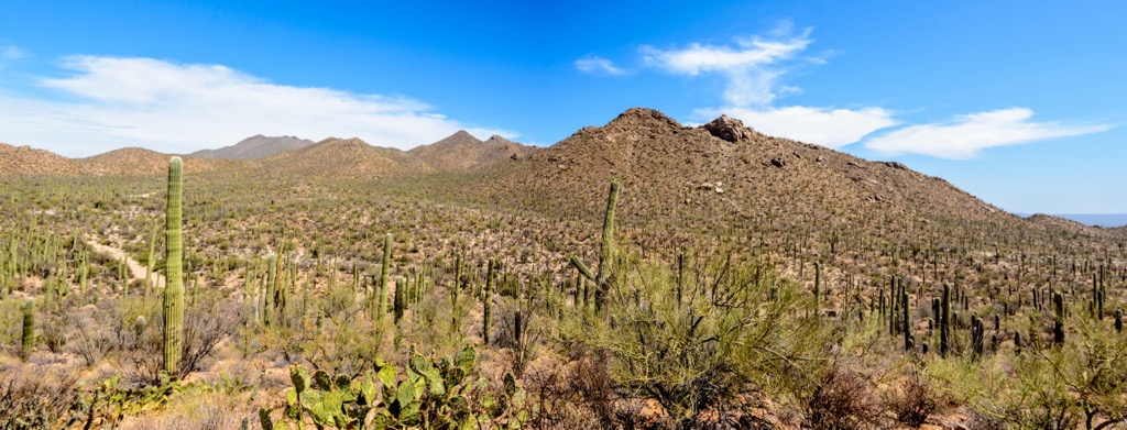 Rincon Mountains, Arizona