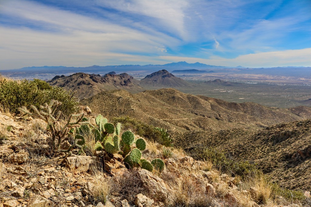 Rincon Mountains, Arizona
