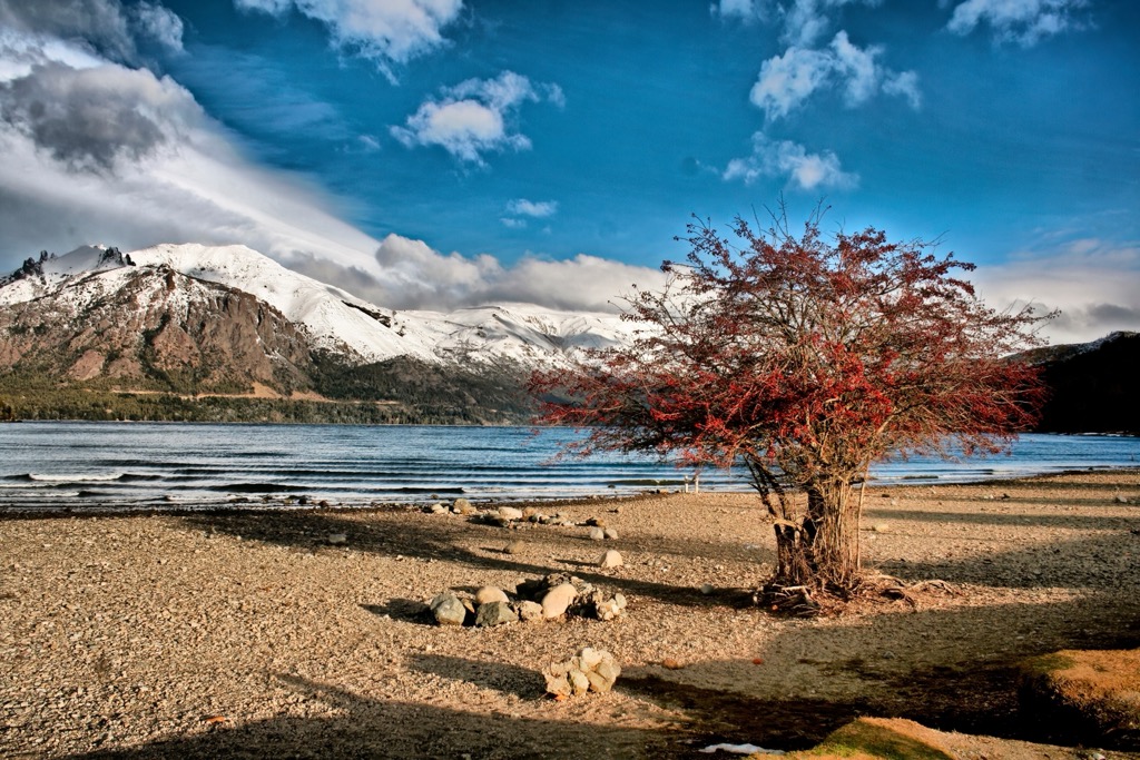 Coast of Lake Gutierrez, Rio Negro, Argentina