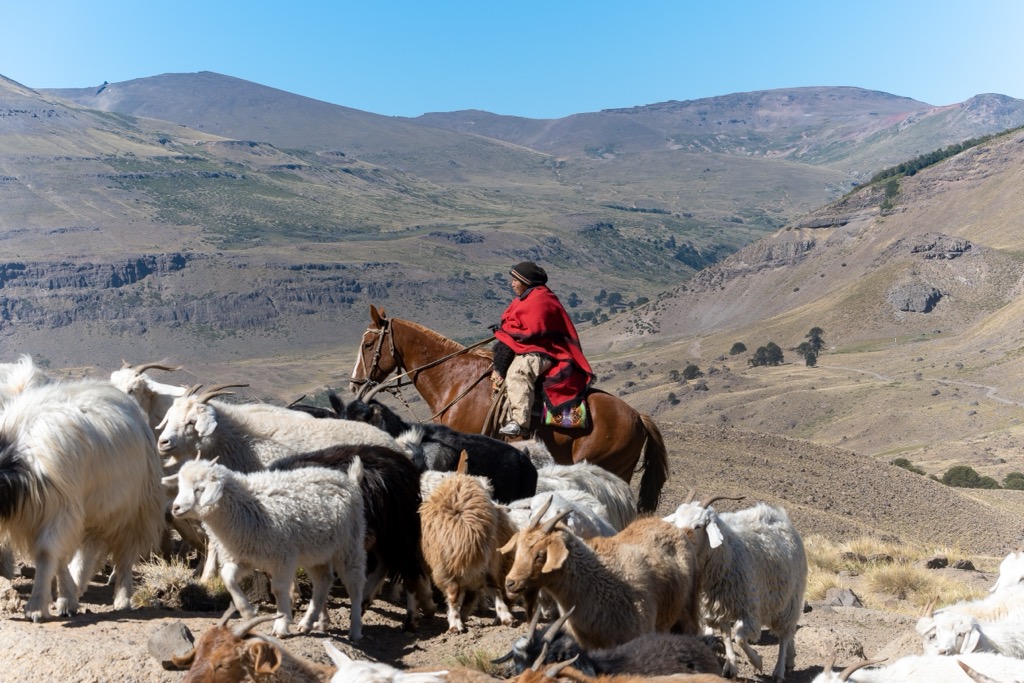 Mapuche , Rio Negro, Argentina
