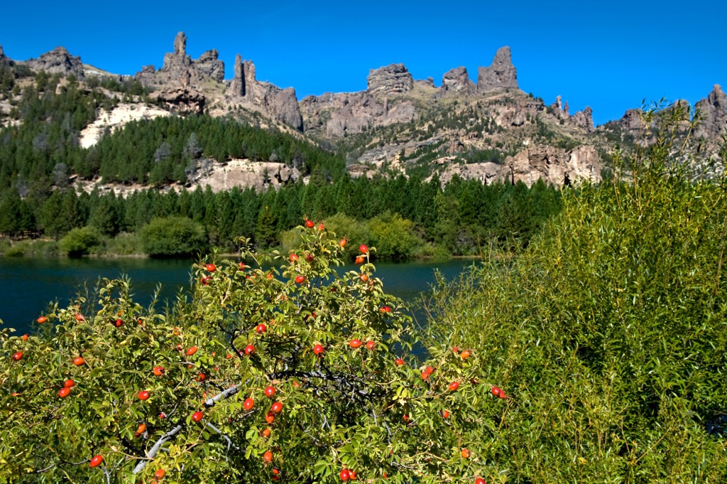 Enchanted Valley along the Rio Limay, Rio Negro, Argentina