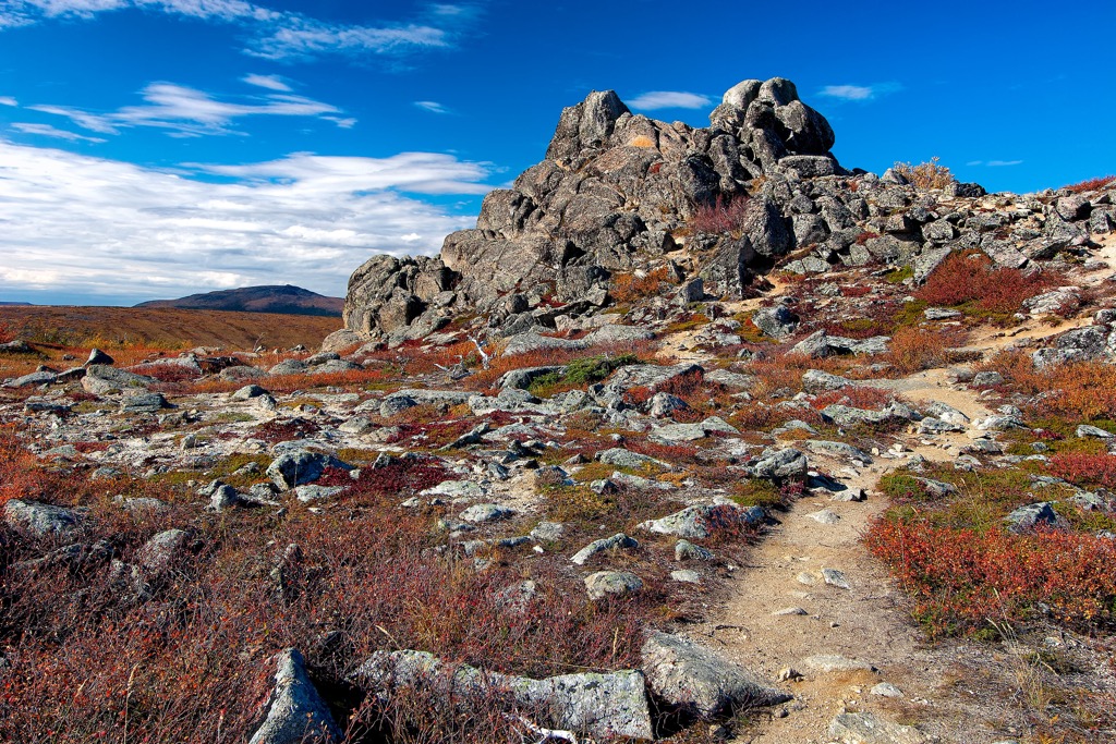 Rocks between Yukon River and Brooks Range, Alaska, Northern America