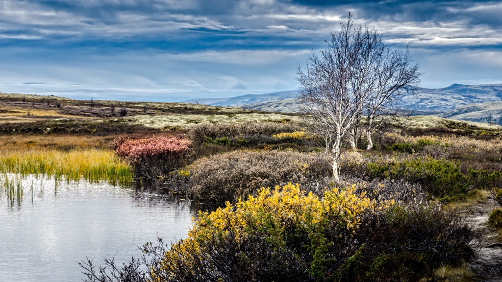 Rondane National Park, Norway
