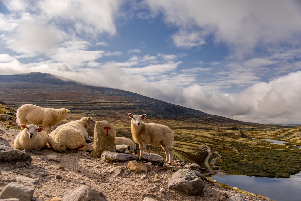 Rondane National Park, Norway
