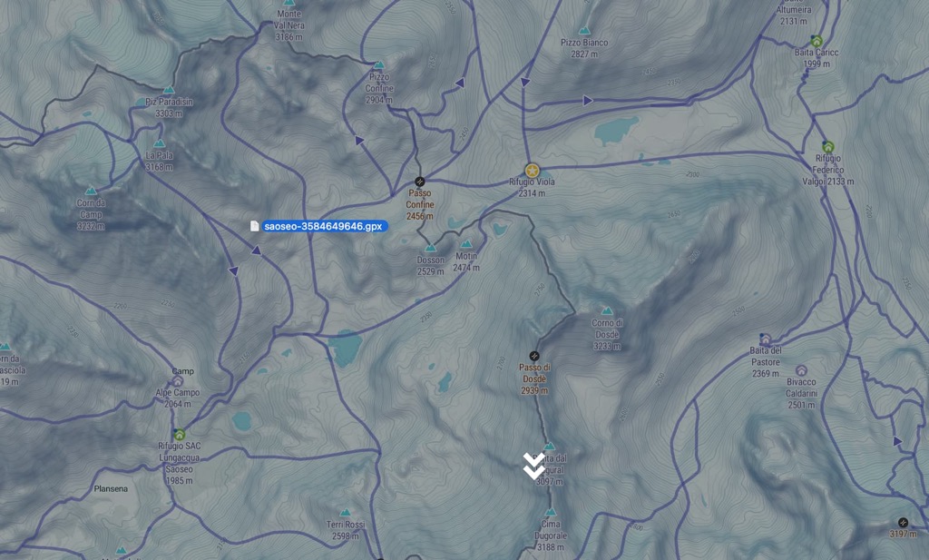 Imported track shown on map with details and profile.