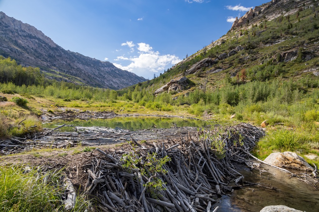 Ruby Mountains Wilderness Area
