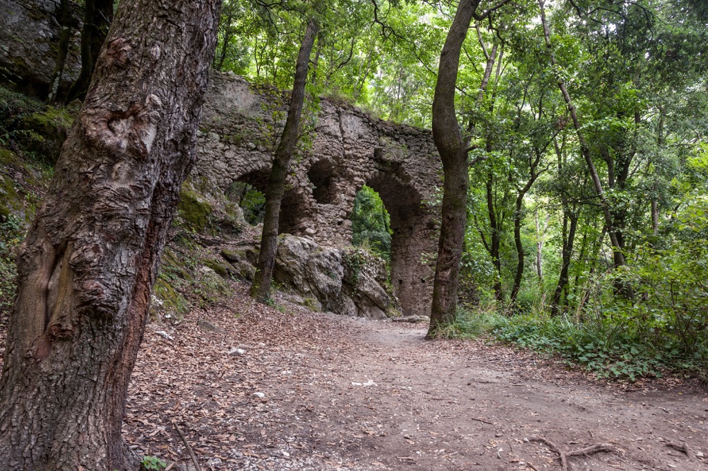 Ruins, Forest, Riserva Statale Valle delle Ferriere, Campania, Italy