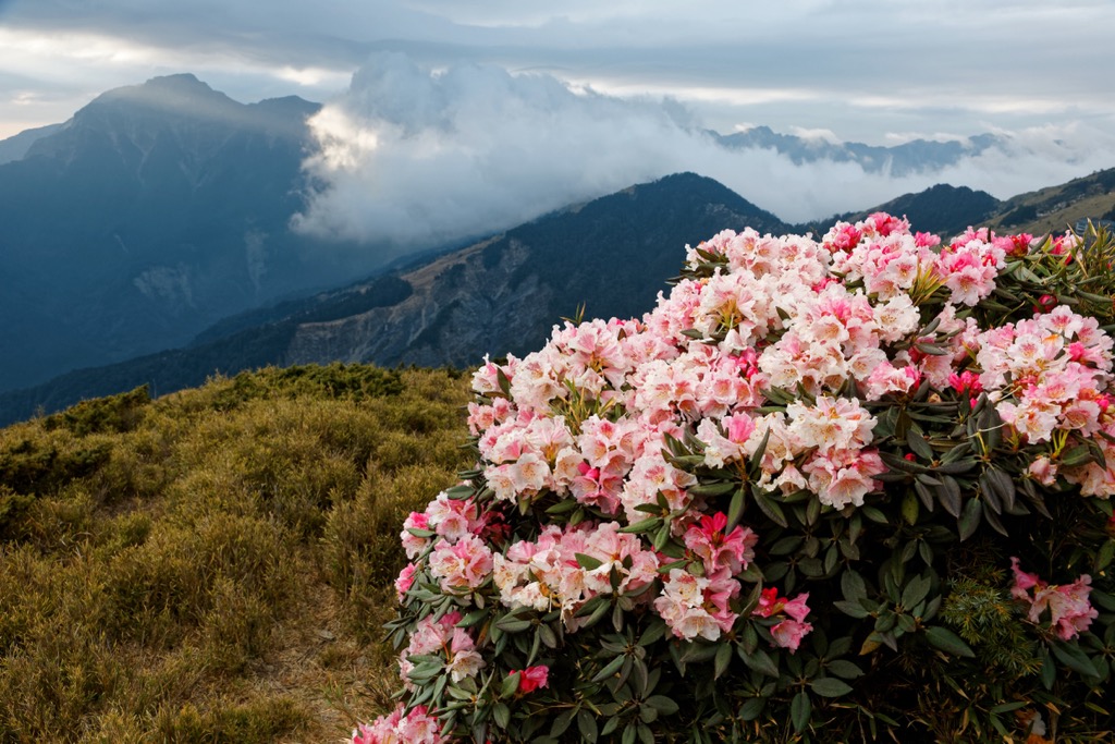 Ruiyanxi Major Wildlife Habitat, Taiwan