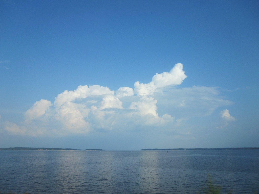 Toledo Bend Reservoir is a defining feature of the forest. Sabine National Forest