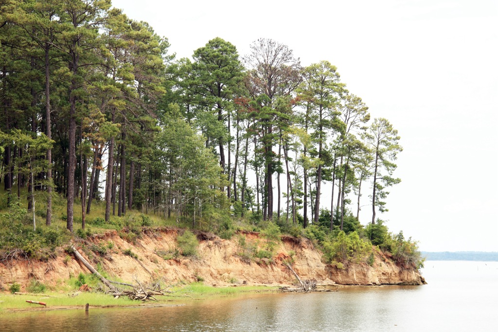 Sabine National Forest, Texas. Sabine National Forest