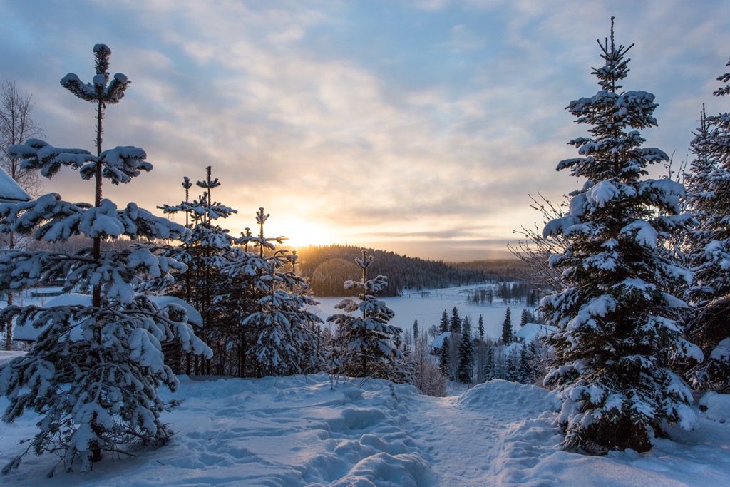 Salla National Park, Finland
