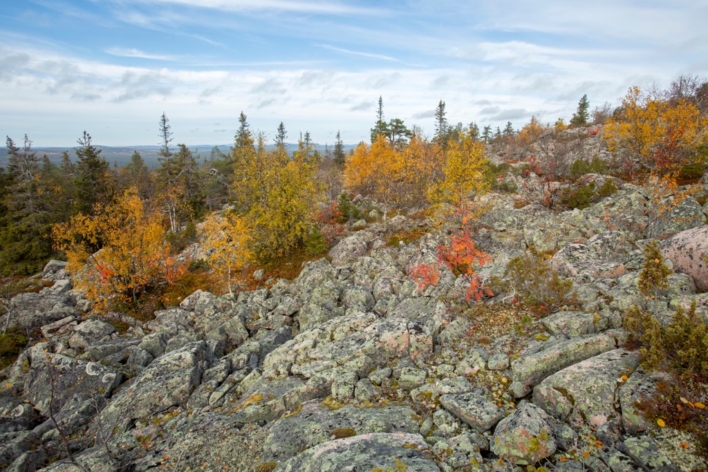Salla National Park, Finland