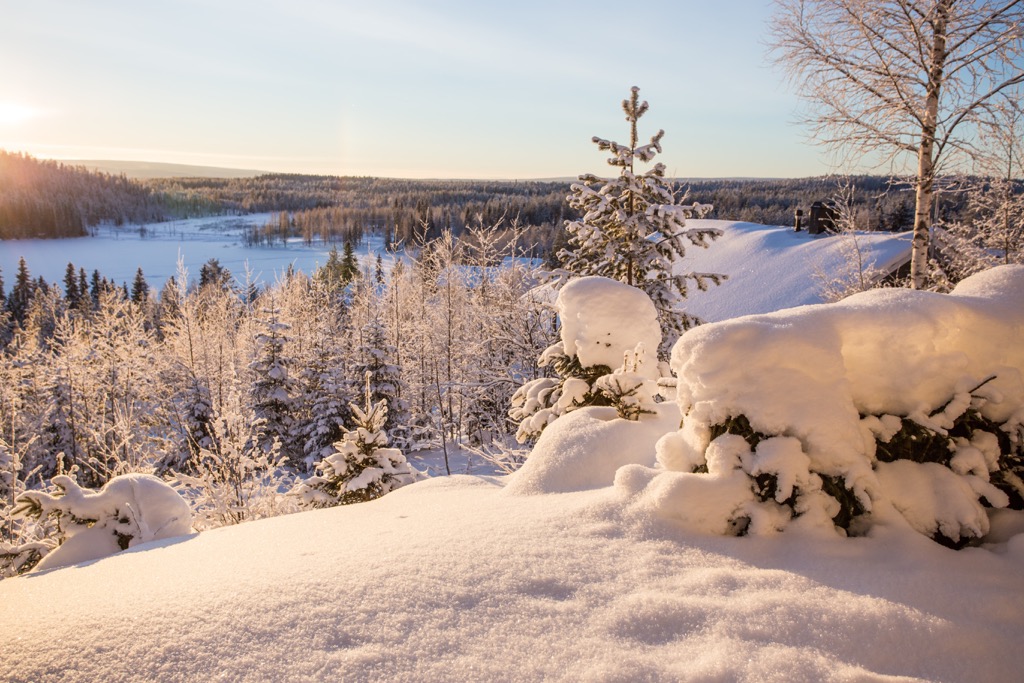 Salla National Park, Finland