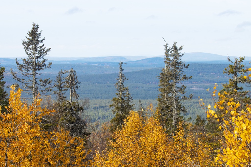 Salla National Park, Finland