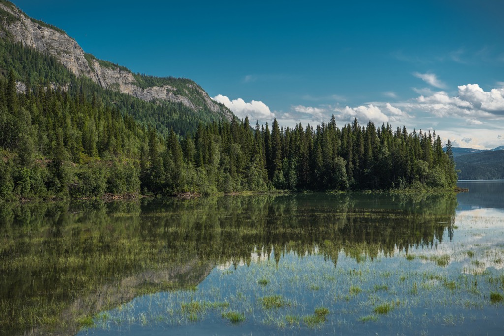 Saltfjellet-Svartisen National Park, Norway