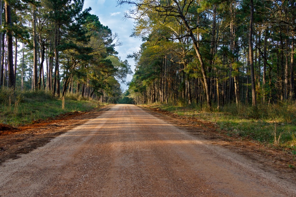 The Sam Houston National Forest. Sam Houston Forest