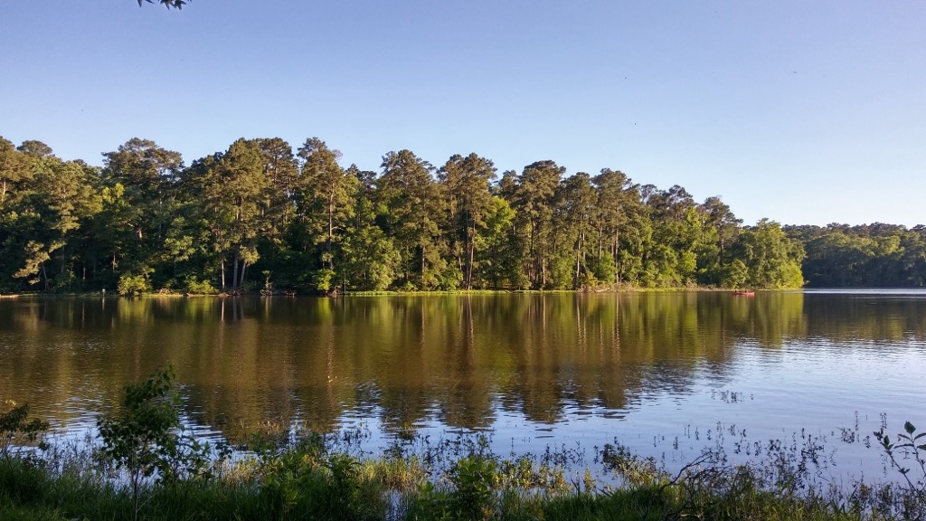 Lake Raven, Huntsville State Park, within the Sam Houston National Forest. Sam Houston Forest