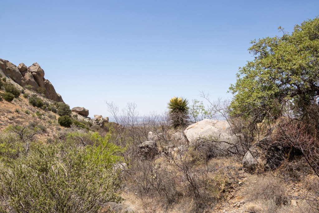 San Andres Mountains, New Mexico