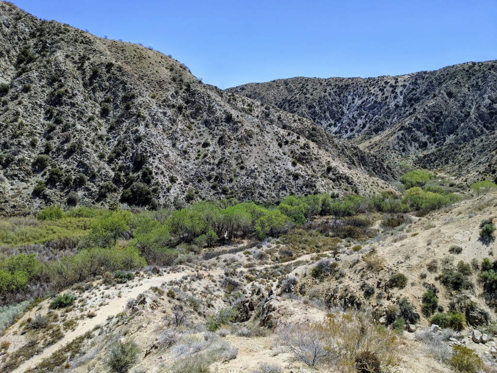 Big Morongo Canyon, Sand to Snow National Monument, California