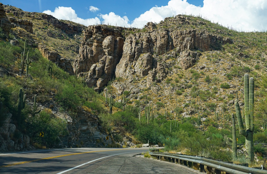 Santa Catalina Mountains, Arizona
