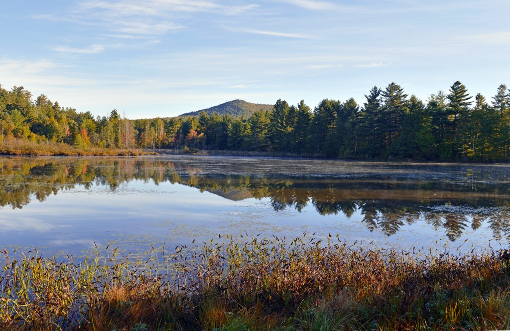 Saranac Lakes Wild Forest, New York