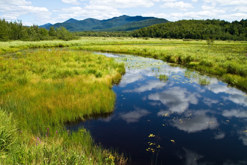 Saranac Lakes Wild Forest, New York