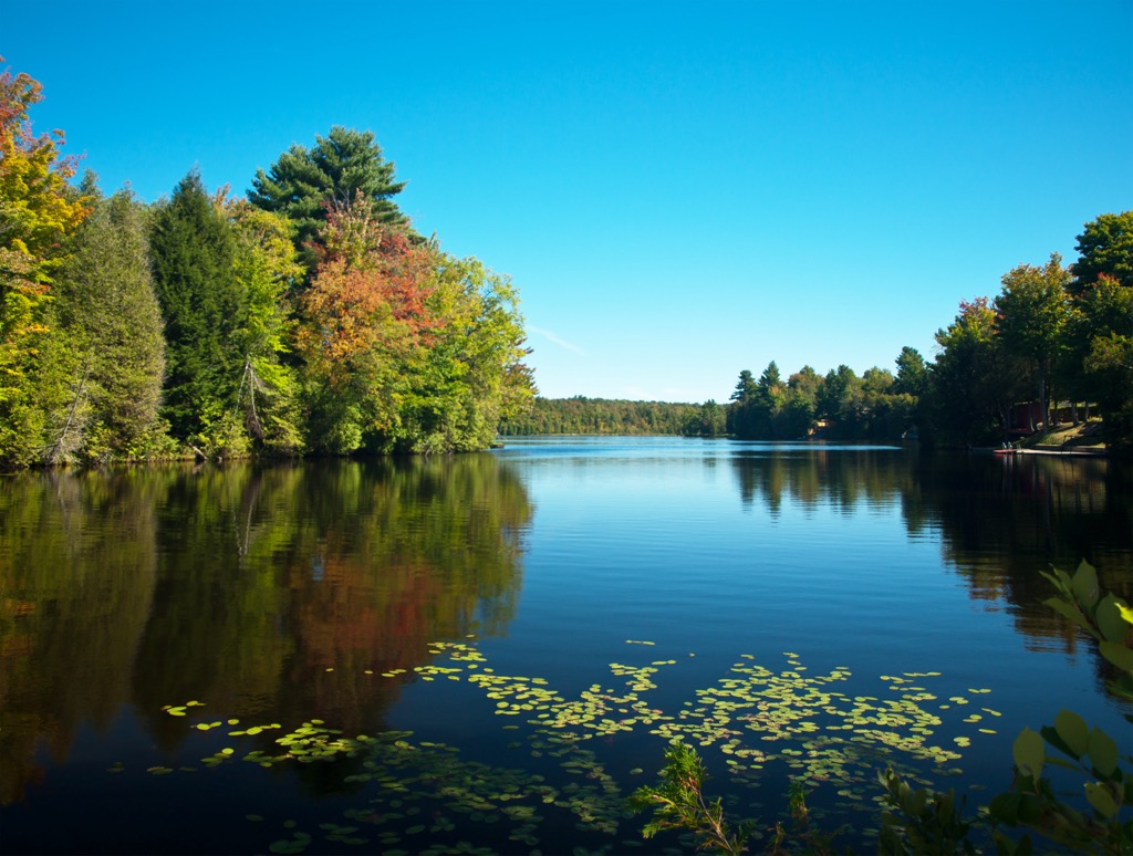 Saranac Lakes Wild Forest