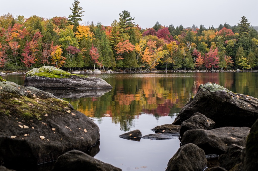 Saranac Lakes Wild Forest, New York