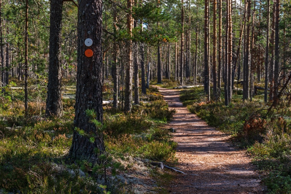Lauhanvuori National Park, Satakunta, Finland