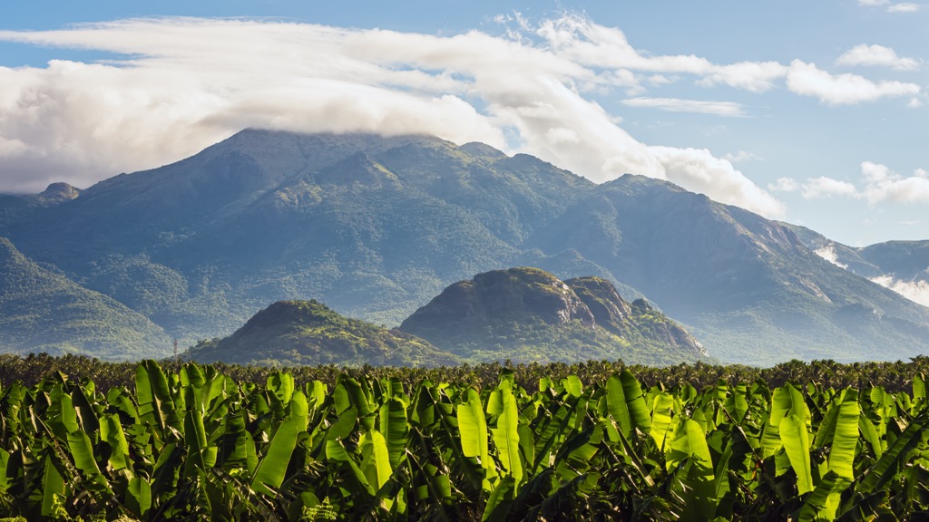 Saudi Arabia, Al Souda mountains