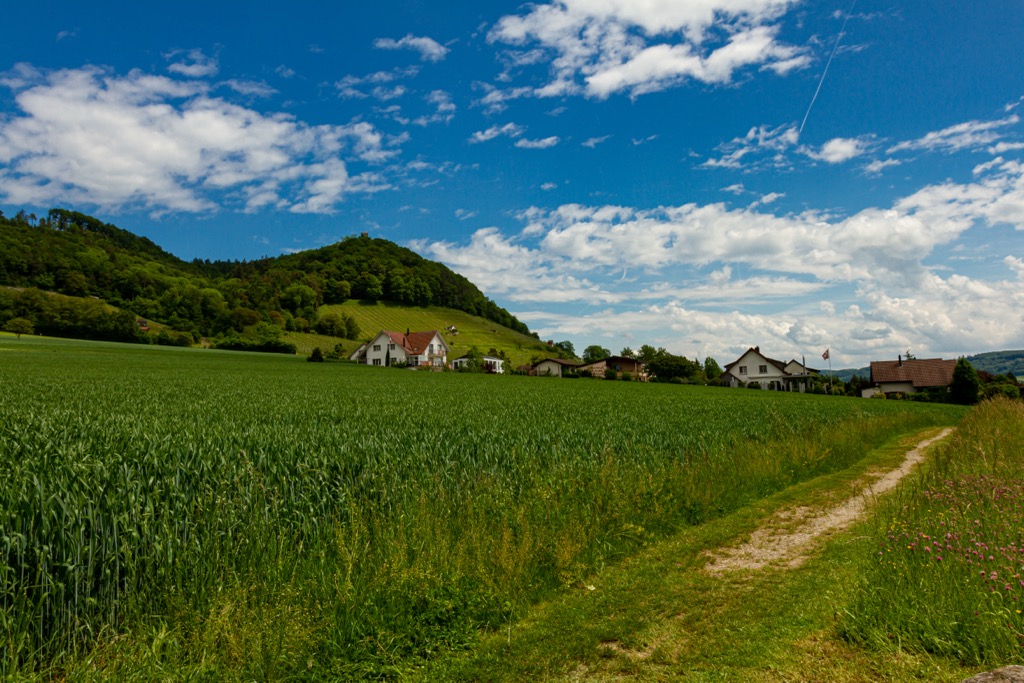 While ritzy resorts define Switzerland’s more famous alpine region, the Swiss Plateau features rolling hills and farmland, like this family barley farm. Schaffhausen Nature Park
