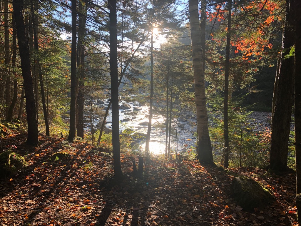 Shaker Mountain Wild Forest, New York