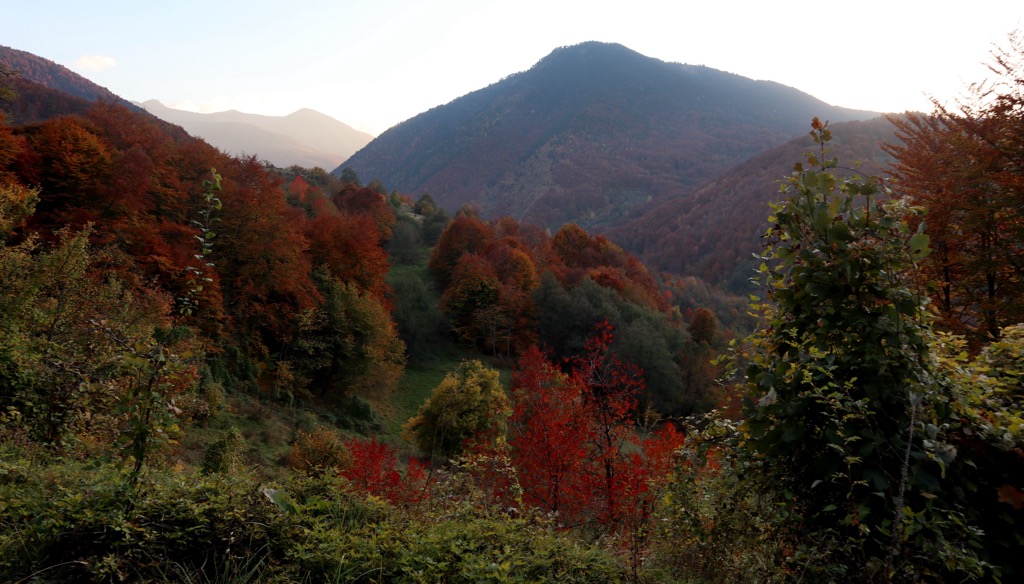 Vivid colors are a staple of autumn in these deciduous forests. Sharr Mountains
