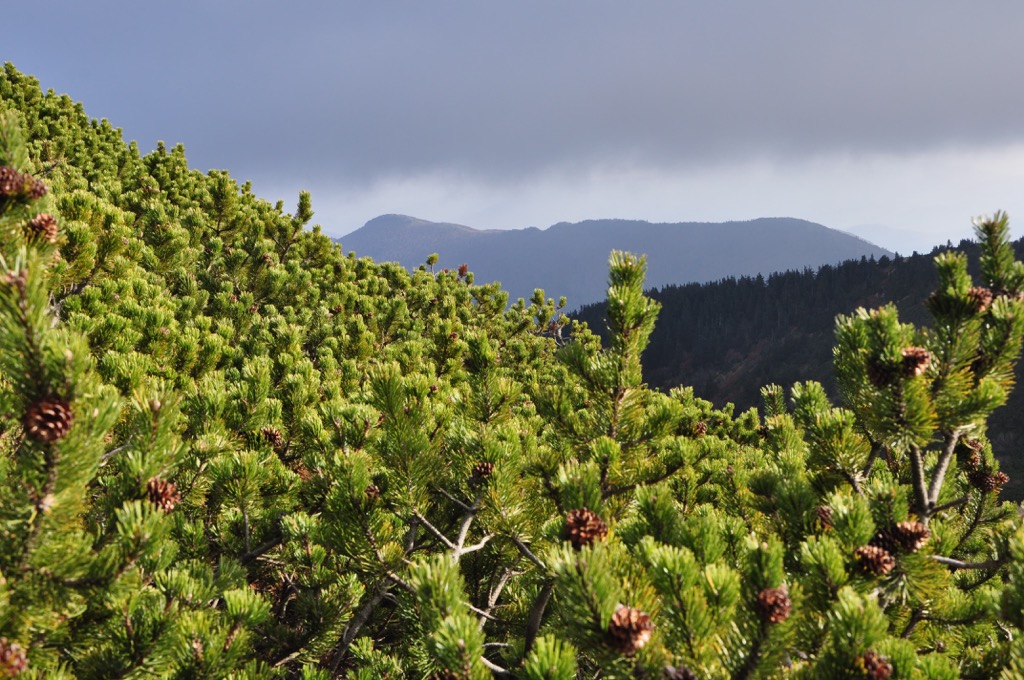 Shebenik-Jabllanice National Park, Albania