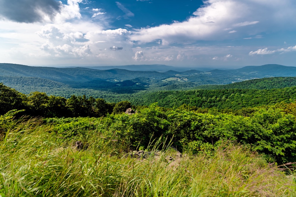 Shenandoah Wildlife Management Area, West Virginia
