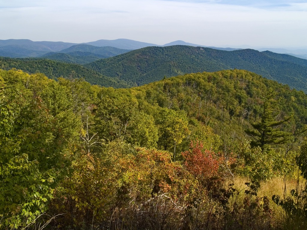 Shenandoah Wildlife Management Area, West Virginia