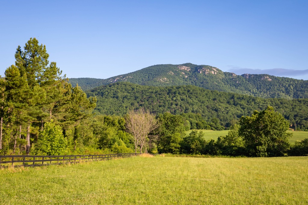 Shenandoah Wildlife Management Area, West Virginia