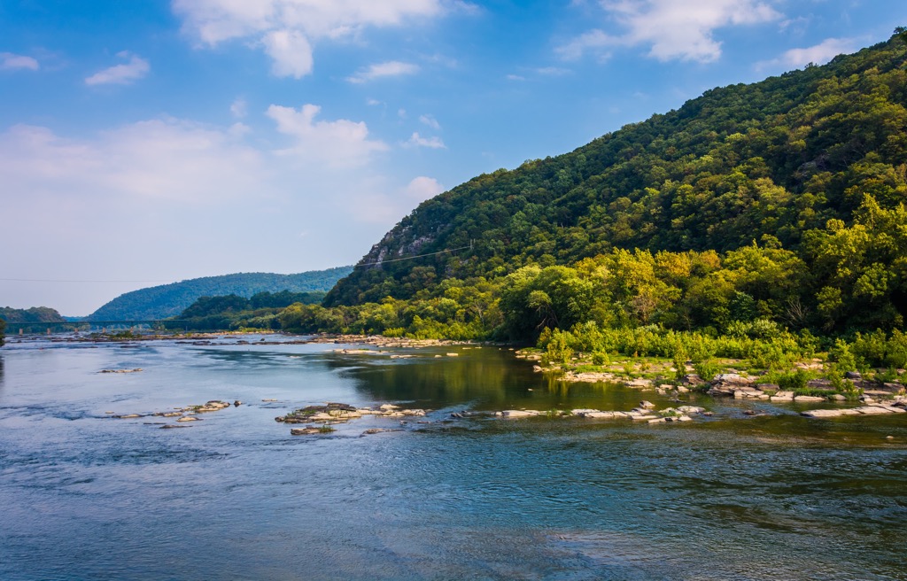 Shenandoah Wildlife Management Area, West Virginia