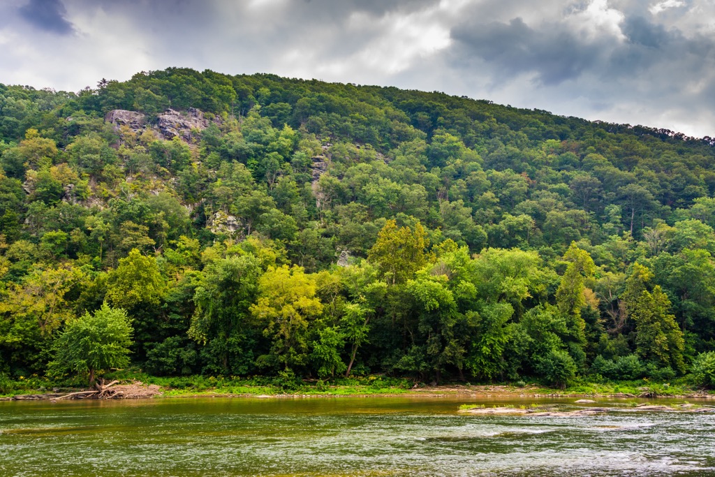 Shenandoah Wildlife Management Area, West Virginia