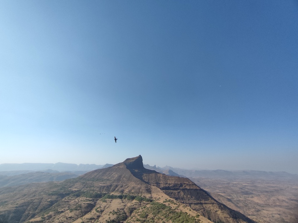 Photo №1 of Shenwad