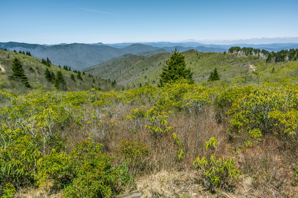 Shining Rock Wilderness, North Carolina