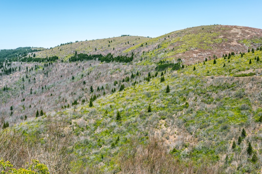 Shining Rock Wilderness, North Carolina