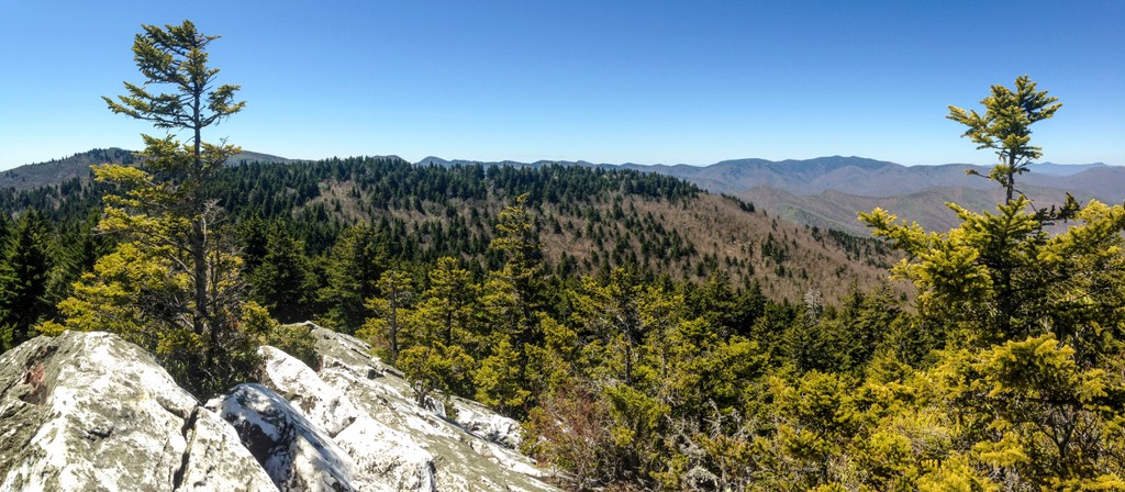 Shining Rock Wilderness, North Carolina