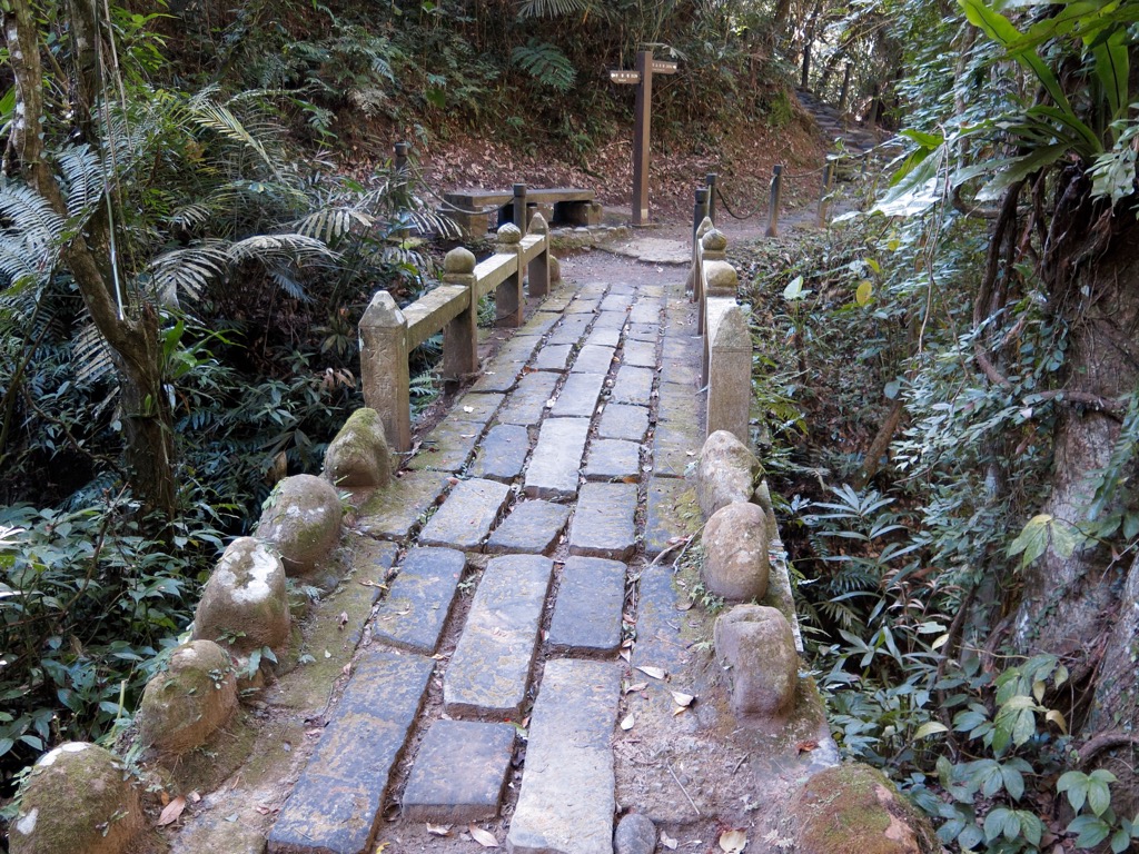 Shuilian Major Wildlife Habitat, Taiwan