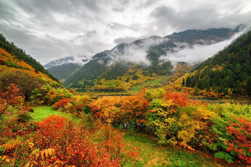 Jiuzhaigou forest, Sichuan