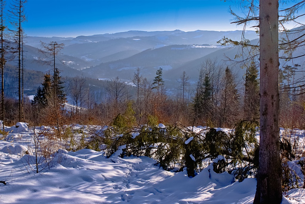 The Silesian Beskids Landscape Park. Silesian Beskids Landscape Park