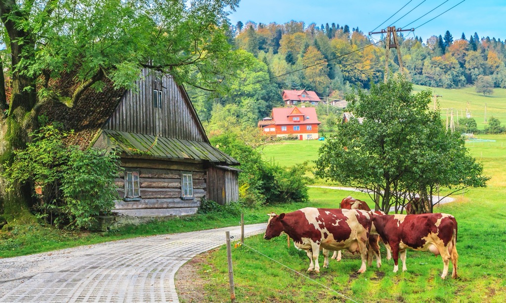 Autumn in the pastoral villages of the Silesian Beskids