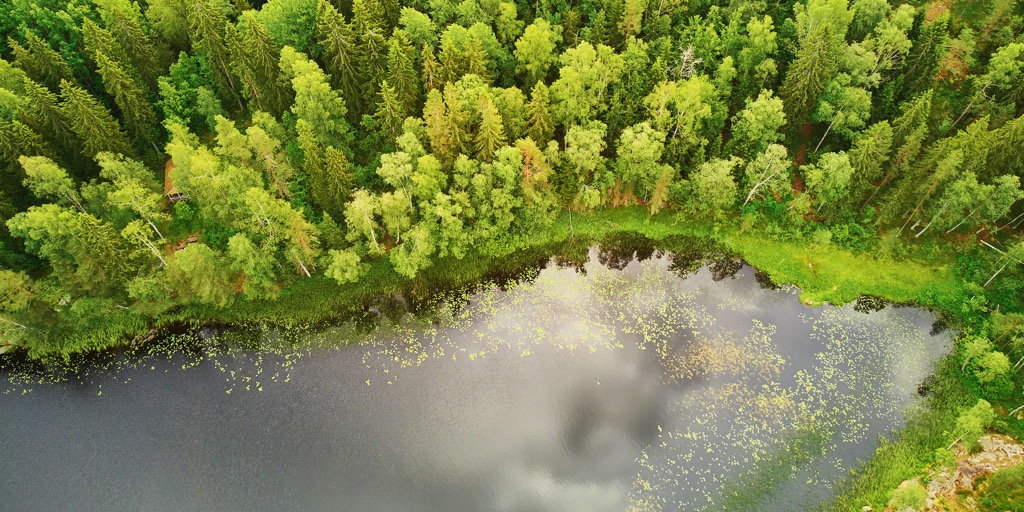 Sipoonkorpi National Park, Finland